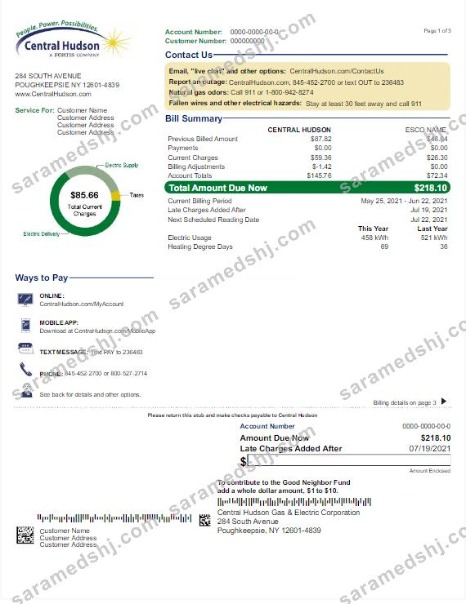 USA NEW YORK CENTRAL HUDSON utility bill Word and PDF template